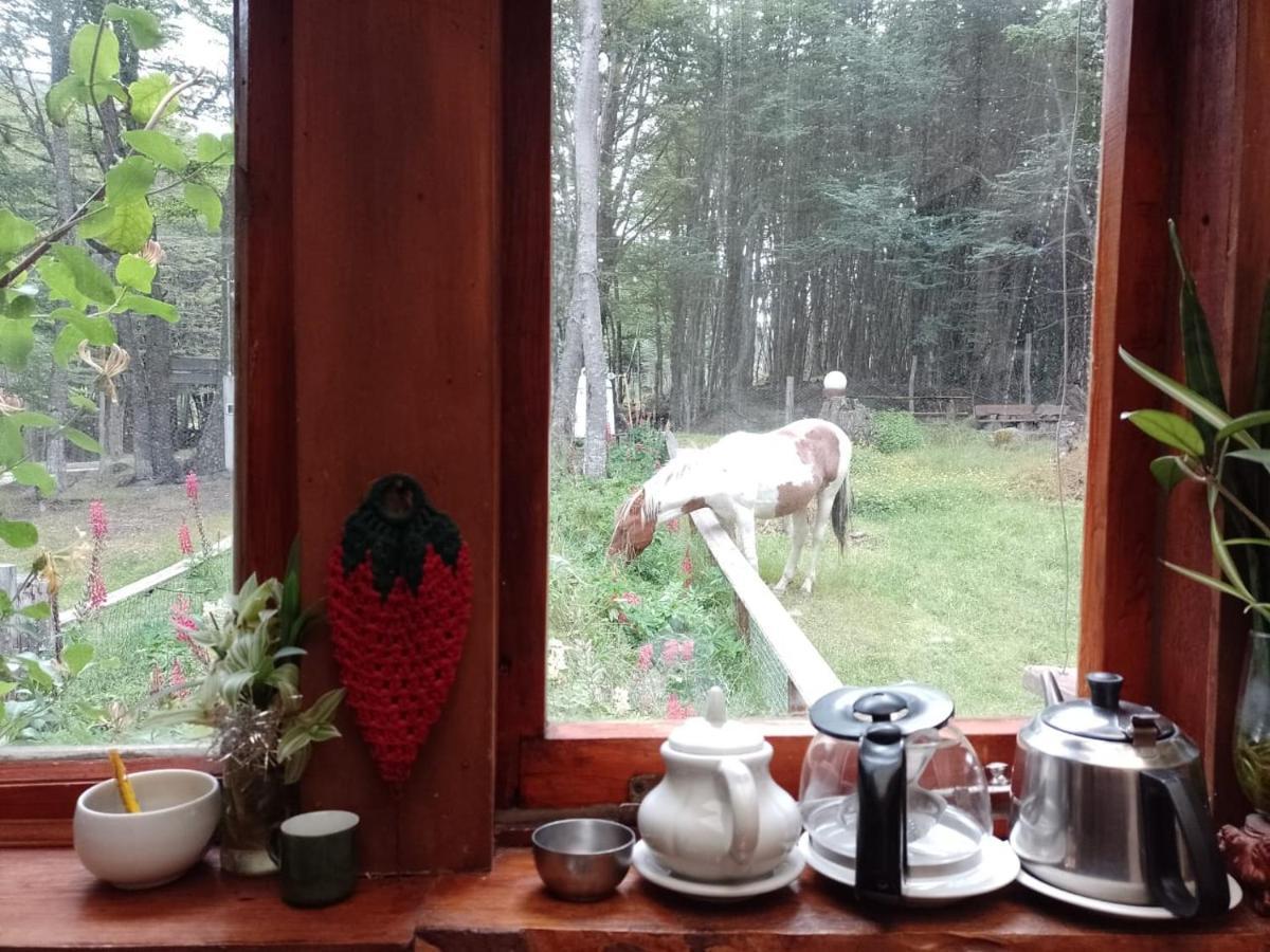 Bosque Holistico Del Fin Del Mundo Hotel Ushuaia Ngoại thất bức ảnh